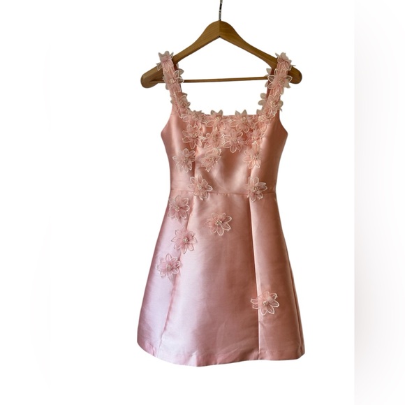ELLIATT | Opera Elder Dress in Blush | Size: XS - Picture 3 of 7
